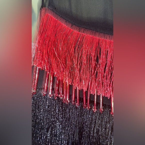 Alice Olivia Red and Black Dress with Mesh and Zipper Back - Picture 8 of 12